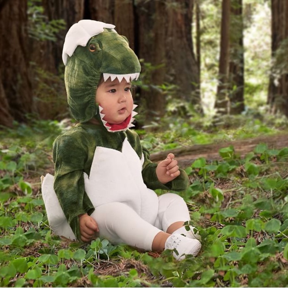 COPY - Pottery Barn Kids Dinosaur Costume 12-24 mo